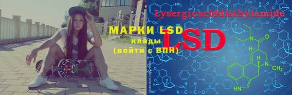 гидра Михайловка