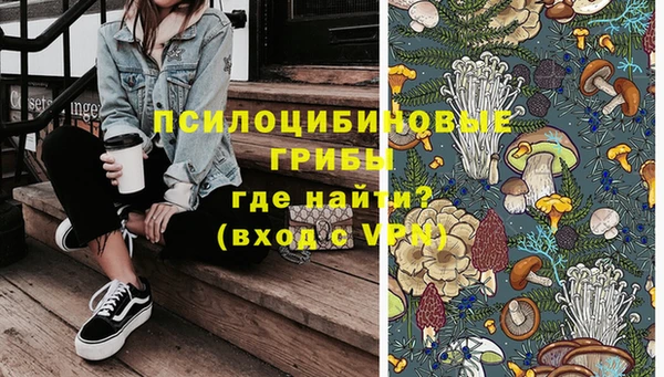 гидра Михайловка