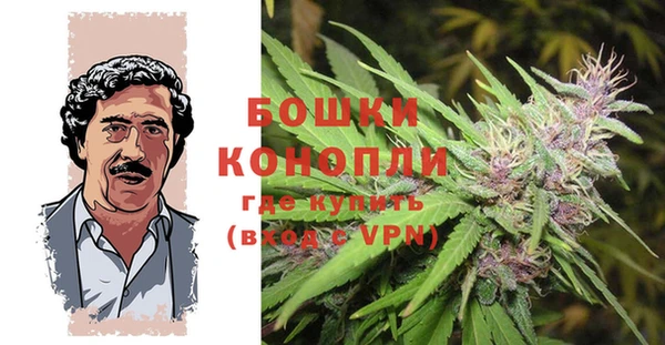 спайс Михайлов