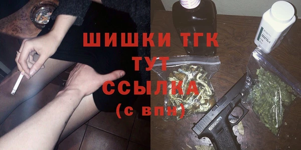 гидра Михайловка