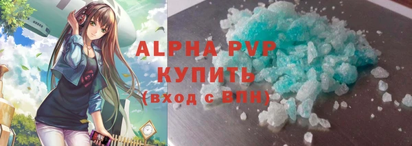 гидра Михайловка