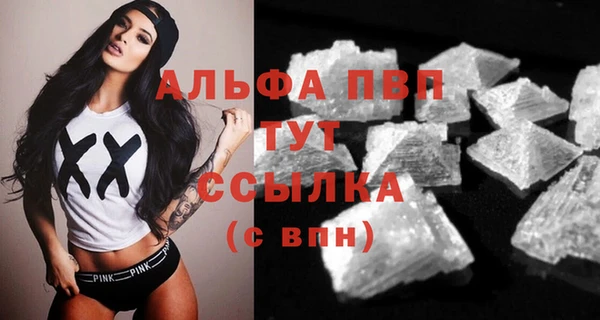 спайс Михайлов